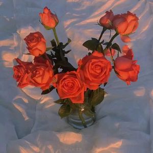 无码人妻精品丰满
